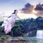 The Journey of Flower