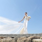 Sharon Chan wedding 5