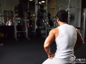 donnie yen workout 7