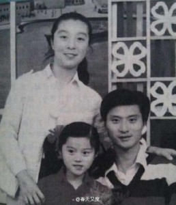 fan bingbing family 3