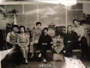 fan bingbing family 5