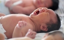 Celebrity Dragon Babies to Be Born This Year! thumbnail