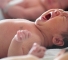 Celebrity Dragon Babies to Be Born This Year! thumbnail