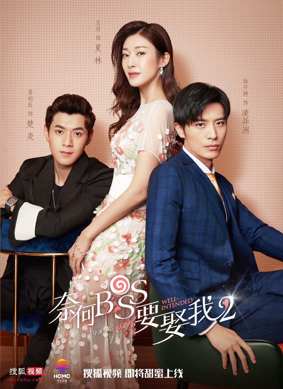 DVD Chinese Drama Well Intended Love 奈何BOSS要娶我 Eps 1-20 END